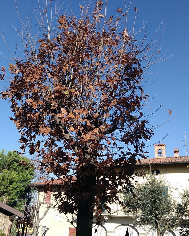 Cascina Corteprimavera, B&B Del Baliot Passirano Exterior foto